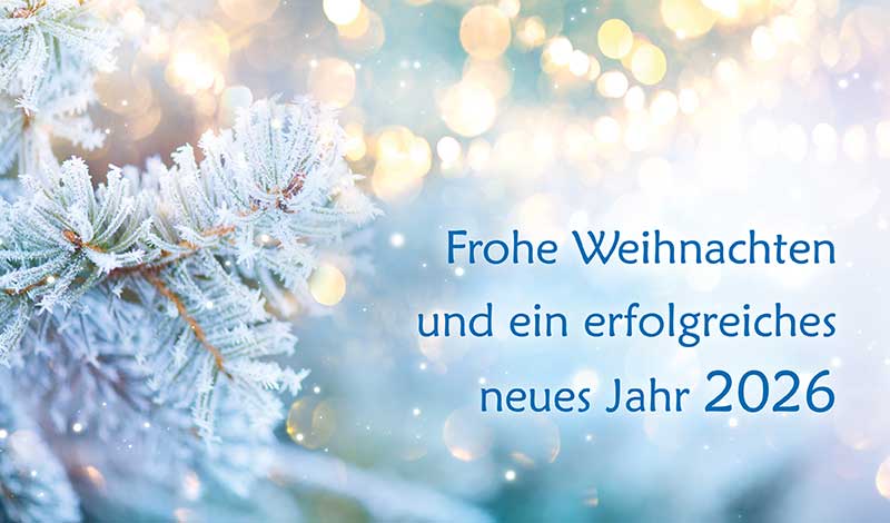 Bild, verschneiter Tannenzweig und festliche Lichter